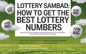 Lottery Sambad